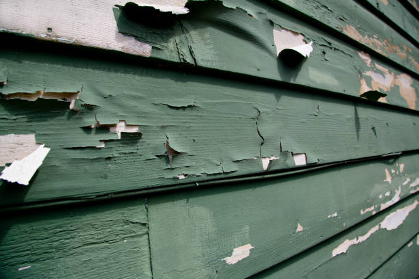 Best Fiber Cement Siding Installation  in Ramsey, NJ