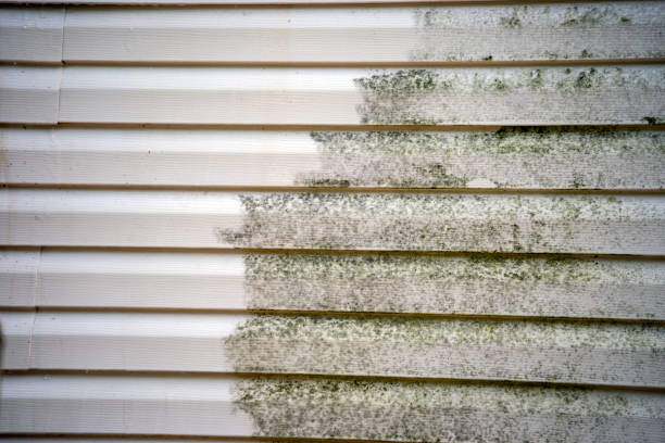 Best Siding Painting and Refinishing  in Ramsey, NJ